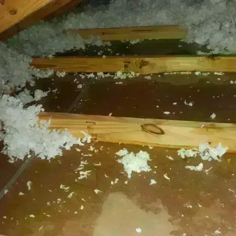 Attic Water Damage in Bass Lake, IN